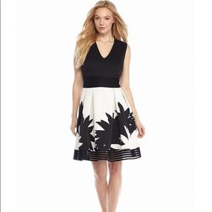 Taylor Fit-and-Flare Dress with Lace Trim NWT